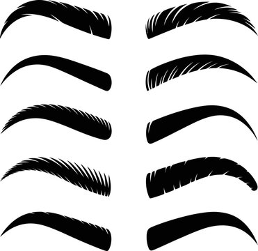 Collection of diverse eyebrow shapes and styles for beauty design