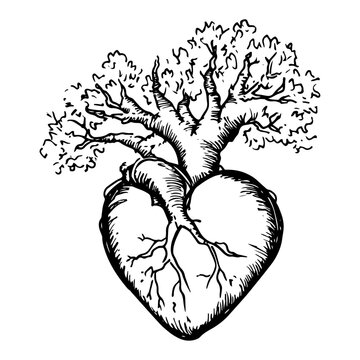 Hand drawn anatomical heart with tree branches growing from arteries surreal sketch style vector illustration symbolizing life and nature