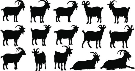Silhouette collection of standing and resting goats in various poses, ideal for farm animal vector illustration, livestock design elements, and rustic themed artwork, black silhouettes