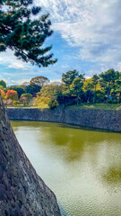 Fototapeta premium Sunlight over the stone wall near the moat of the Imperial Palace in Tokyo, autumn trees and bushes in the foreground.