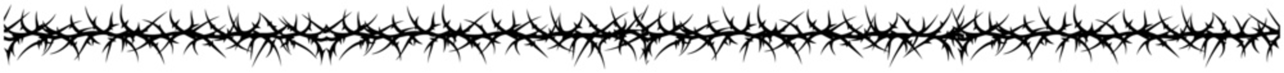 thorny branches border horizontal divider vector illustration