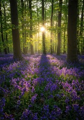Sunlight streaming through the canopy illuminates a dense, vibrant carpet of purple-blue wildflowers covering the ancient woodland floor during spring vacation ,springtime ,escape ,vibrant