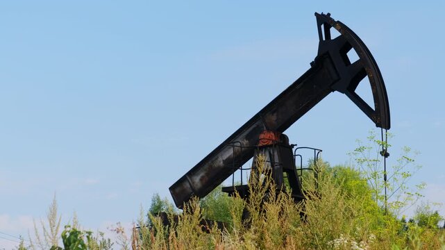 Oil pumpjack tilts beside shrubs and grasses. Counterweight swings and rod drives pump with slow rhythm near steel frame creaking softly