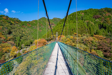 Obraz premium 杣の大吊橋の紅葉の風景（八女市）