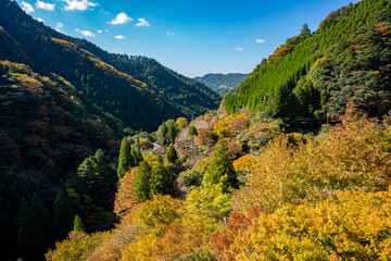 杣の大吊橋の紅葉の風景（八女市）