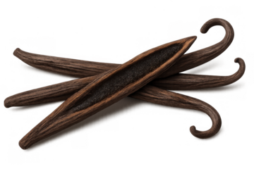 Dried vanilla beans with one open pod showing seeds, aromatic spice for cooking and baking on transparent background