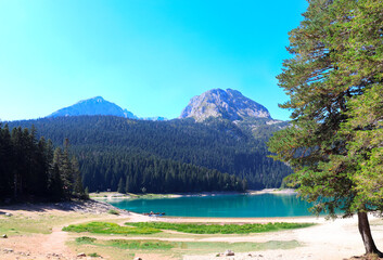 Beautiful scene of Black Lake, Zabljak province, Durmitor National Park, Montenegro. Picturesque view with tree, lake in mountains and Bobotov Kuk peak. Topic of summer vacation, travel, cruise, tour