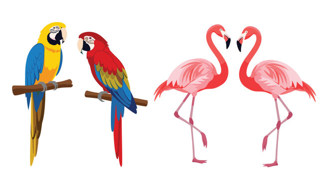 Two colorful macaws perched on branches and two pink flamingos standing with their necks intertwined. - Powered by Adobe