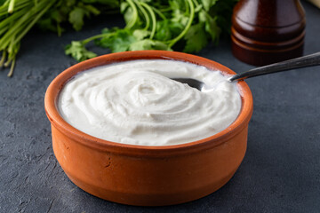 Traditional yogurt, full-fat or nonfat. Yogurt made from cow's or goat's milk on black background