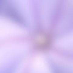Obraz premium Abstract purple background with copyspace from soft focus of petal, beauty in nature for soft, clean, bright feeling 