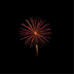 Colorful fireworks burst against black background