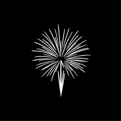 Fireworks burst illustration on black background
