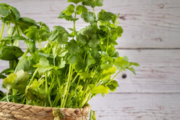 close-up of fresh cilantro and basil in woven basket