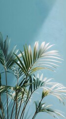 Close up of delicate palm leaves casting soft shadows against a textured serene teal wall illuminated by gentle light