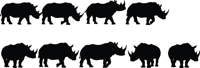 Set of black rhinoceros silhouettes, wild african animal vector collection, safari mammal icons, isolated on white background, side view walking poses