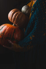 The woman carries a lot of pumpkins in her hands