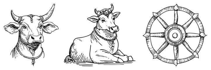Sacred Indian cow and bull with Ashoka Chakra wheel symbol sketch vector illustration