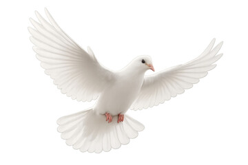Fototapeta premium White dove flying with wings spread, representing peace, purity, freedom, unity, and spirituality. Transparent background