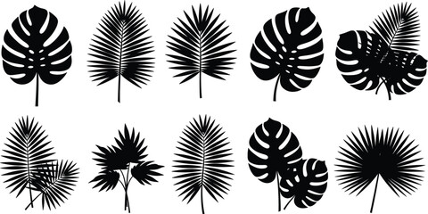Set of tropical leaf silhouettes, black palm and monstera vector illustration, exotic summer jungle foliage for botanical decor and nature logo design © Ideasy Mind