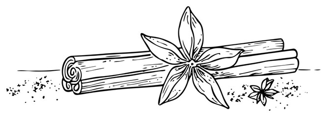 Cinnamon sticks and star anise spices aromatic cooking ingredients sketch vector illustration