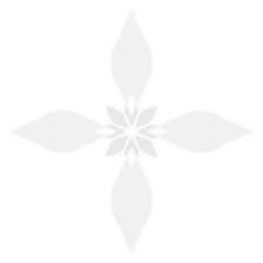 Abstract white floral pattern with transparent background for nature or beauty theme design elements