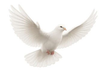 Fototapeta premium White dove flying with wings spread representing peace freedom hope and spiritual purity on transparent background