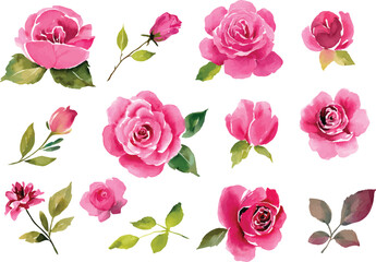 seamless pattern with pink roses