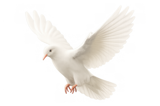 White dove flying, spreading wings, symbolizing peace, freedom, hope, and spirituality on transparent background