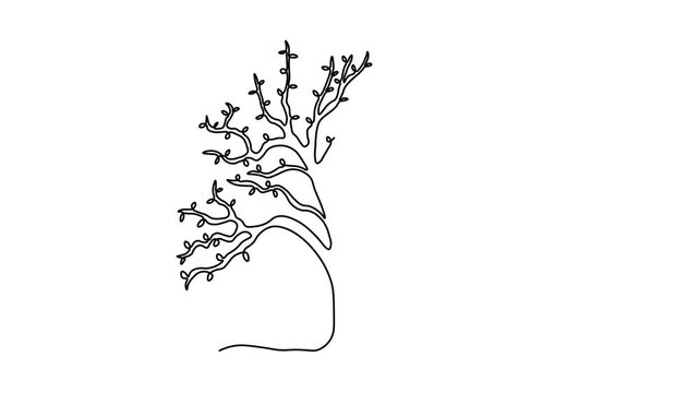 Abstract gnarled branching tree, oak. Self drawing animation one continuous line draw, logo on white background