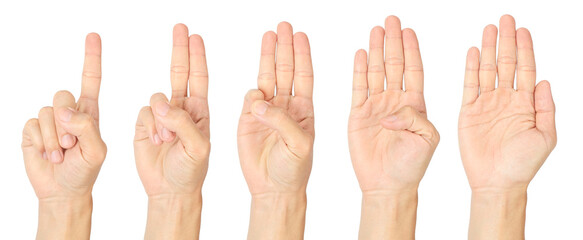 Human hands showing counting gestures from one to five on white background, ideal for education, communication concepts, instructional materials, and creative graphic design projects.