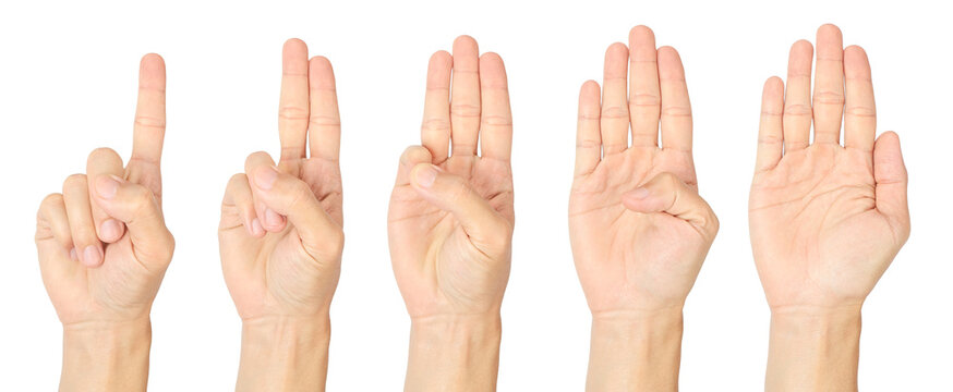 Human hands showing counting gestures from one to five on white background, ideal for education, communication concepts, instructional materials, and creative graphic design projects.