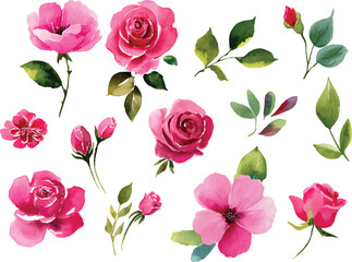 seamless pattern with roses
