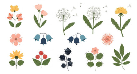 Delightful wildflower meadow collection for spring designs and botanical projects brings nature indoors with a touch of whimsy and charm for your audience