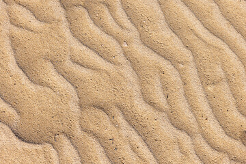 Sandy beach sand background with wave pattern, textures