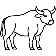 black and white cow