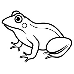 frog on a white background