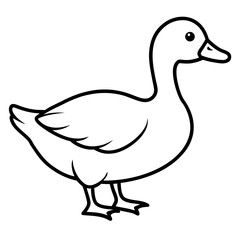 duck vector illustration