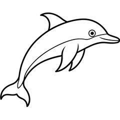 dolphin isolated on white background