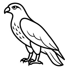 dove of peace