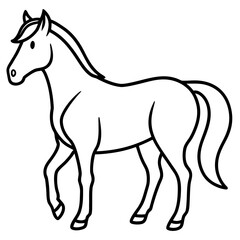 horse isolated on white background