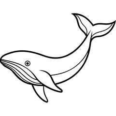 vector illustration of a fish
