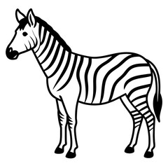 zebra cartoon vector illustration