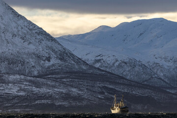 Majestic Arctic mountains towering above ship