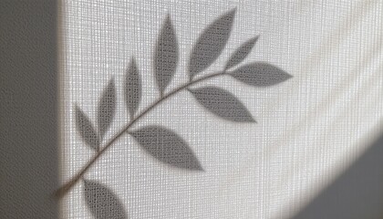 Delicate Shadow of a Leaf on a Textured Wall Bathed in Soft Natural Light