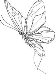 black and white butterfly in line art illustration