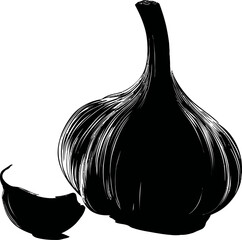 black and white onion illustration