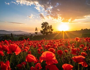 AI Generated - A field of poppies during sun rise