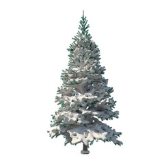 Fir (conifer) snow covered isolated transparent background 3d rendering PNG 16 bit
