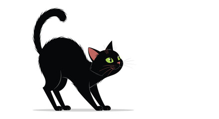 Fototapeta premium A playful black cat stretches its body with arched back and raised tail, displaying a curious and alert expression against a white background.