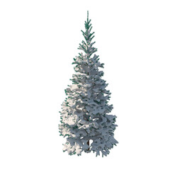 Fir (conifer) snow covered isolated transparent background 3d rendering PNG 16 bit
